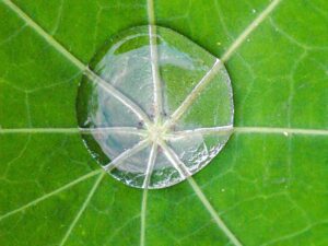 White Fused Alumina White Corundum 8 Diagram of an alumina plant
