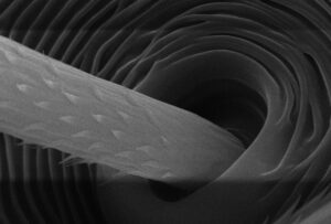 Microstructure of Alumina