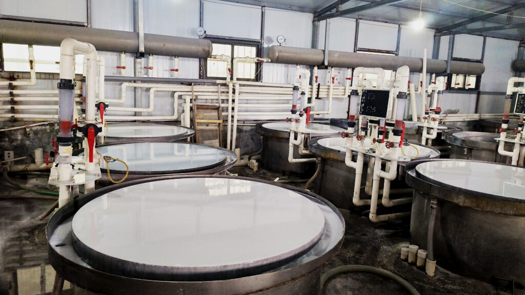 White Fused Alumina White Corundum 6 White Fused Alumina White Corundum a22d4ba2c2243d7b65880dd98745370a abrasive